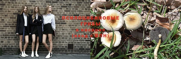 хмурый Алзамай