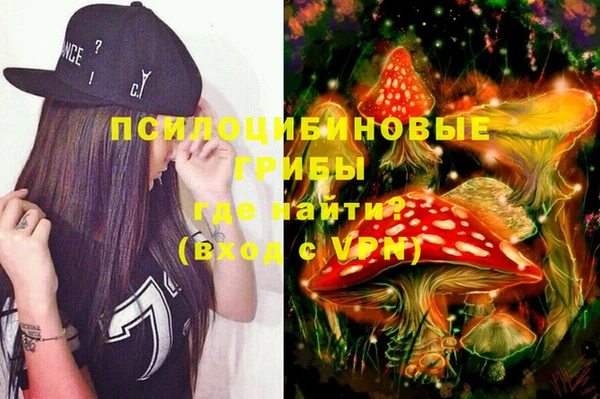 хмурый Алзамай
