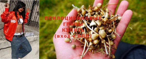 ПСИЛОЦИБИНОВЫЕ ГРИБЫ Алексеевка