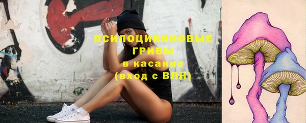 хмурый Алзамай