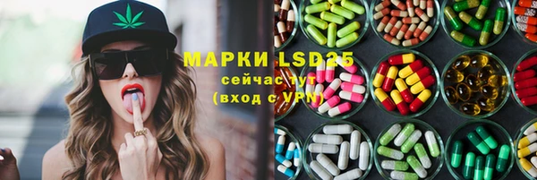 ПСИЛОЦИБИНОВЫЕ ГРИБЫ Алексеевка