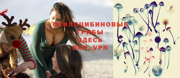 хмурый Алзамай
