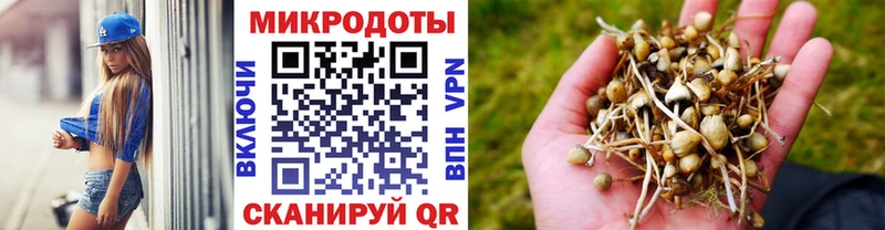 Галлюциногенные грибы мухоморы  продажа наркотиков  Похвистнево 