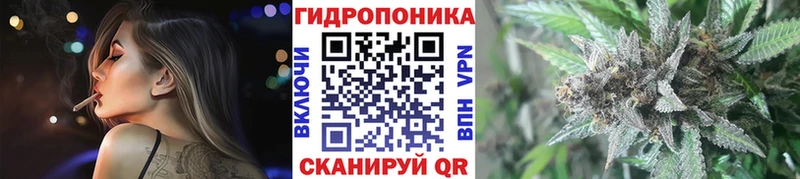 Бошки Шишки семена  наркошоп  Похвистнево 